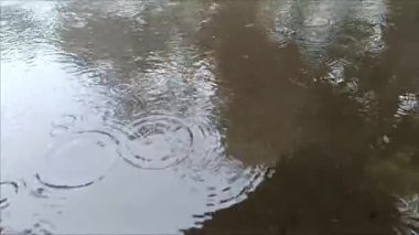 Yağmur mevsiminde su damlacıklarının su birikintilerine düşüşünün videosu.