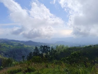 Kintamani Bangli 'deki tepenin manzarası, Bali sabah yeşillik ve sisle kaplıydı..