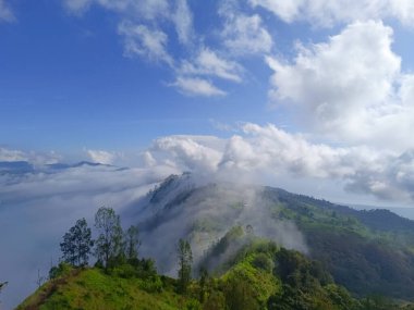 Kintamani Bangli 'deki tepenin manzarası, Bali sabah yeşillik ve sisle kaplıydı..