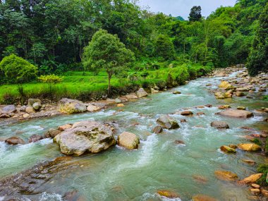 Berrak, akıcı suları ve gür yeşil ormanlarla çevrili pürüzsüz kayaları olan vahşi bir nehrin çarpıcı bir fotoğrafı.
