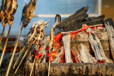 ızgara yamame (karada kilitlenmiş somon balığı)