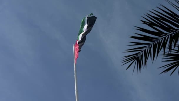 Vlajka Vlajkovém Stožáru Sae Abu Dhabi Giant Flag Nejvyšší Vlajkový — Stock video