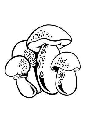 Mantar çizgisi sanat tasarımı