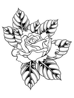 düğün davetiyesi elementleri için gül çiçeği vektör tasarımı