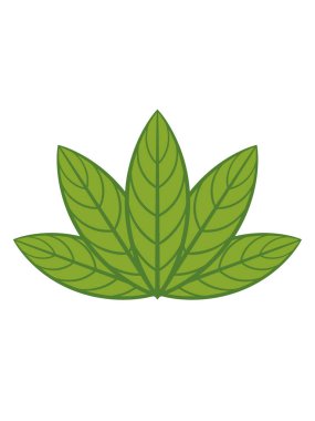 Şablon oluşturma elementleri için organik yapraklar