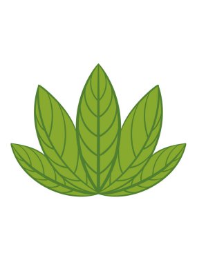 Şablon oluşturma elementleri için organik yapraklar