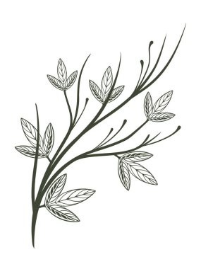 Şablon oluşturma elementleri için organik yapraklar