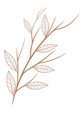 Şablon oluşturma elementleri için organik yapraklar