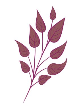 Şablon oluşturma elementleri için organik yapraklar