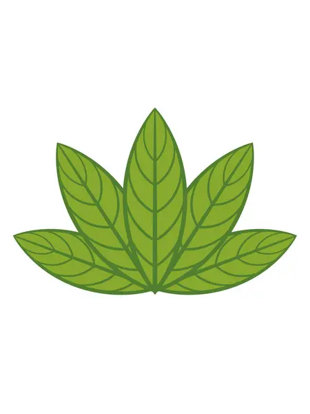 Şablon oluşturma elementleri için organik yapraklar