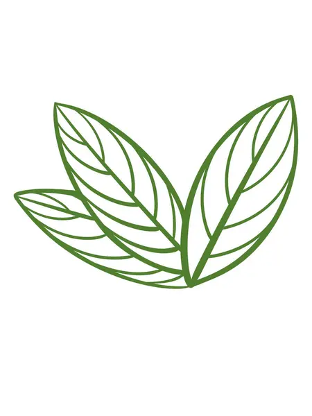 Şablon oluşturma elementleri için organik yapraklar