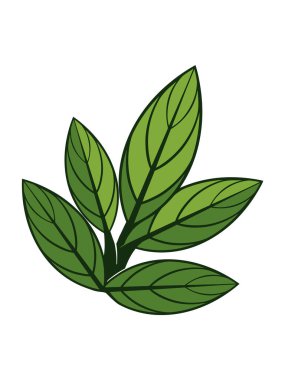 Botanik Elementler Tasarım Vektörü İllüstrasyonu