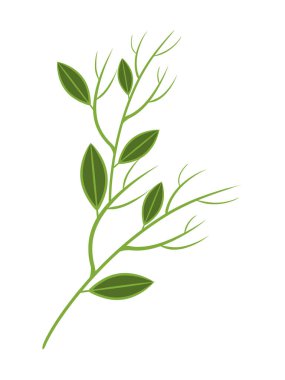 Botanik Elementler Tasarım Vektörü İllüstrasyonu