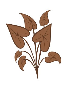 Botanik Elementler Tasarım Vektörü İllüstrasyonu