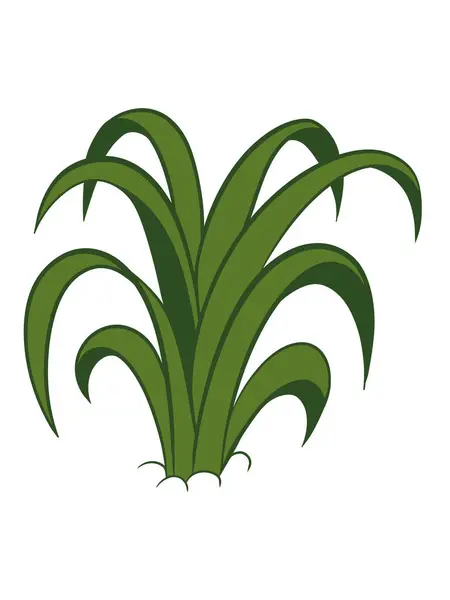 Botanik Elementler Tasarım Vektörü İllüstrasyonu