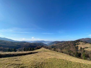 Mizhhiria 'daki yeşil vadi, Zakarpattia Oblastı, Karpat Dağları, Ukrayna