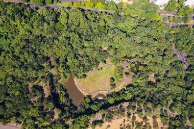 Ribeiro Preto, So Paulo, Brezilya - Mart 2022: Curupira takma adlı park, Parque Prefeito Luiz Roberto Jbali, yukarıdan insansız hava aracı ile görüldü. hava görünümü
