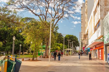 Ribeiro Preto Sao Paulo Brazil - Haziran 2022: tahta kaldırım, çok sayıda dükkânı olan ünlü yaya sokağı. şehir.