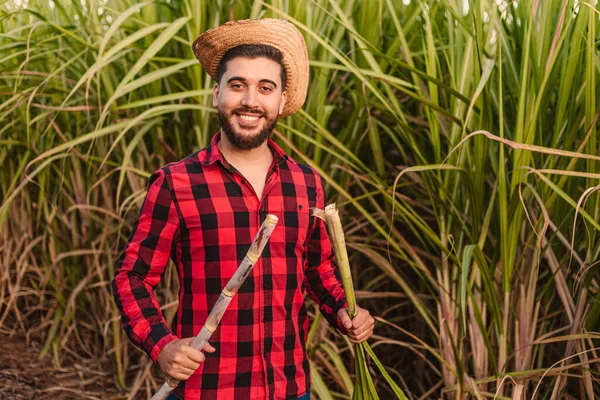 Mladý Farmář Usmívá Analyzuje Plantáž Cukrové Třtiny Agronomem Zemědělským Inženýrem — Stock fotografie