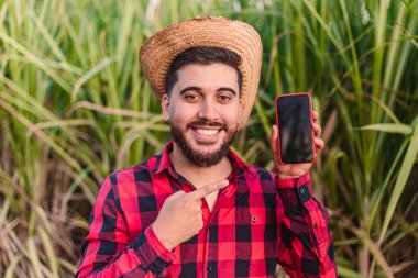 Genç tarım işçisi, tarımcı, cep telefonu ekranı, tarım uygulamaları, tarama. Arka planda şeker kamışı tarlası var..