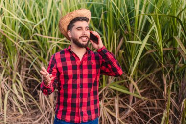 Genç tarım işçisi, tarım uzmanı, hasır şapka takıyor. Cep telefonundan konuşmak, sesli arama. Arka planda şeker kamışı tarlası var..