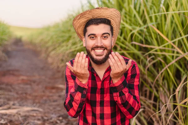 Mladý Farmář Volá Pojď Sem Pozvi Plantáž Cukrové Třtiny — Stock fotografie