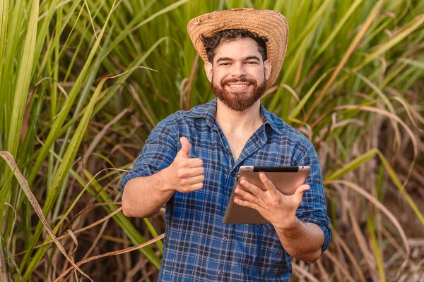 Braziliaanse Blanke Man Boer Landarbeider Landbouwkundig Ingenieur Tablet Vasthouden Met — Stockfoto