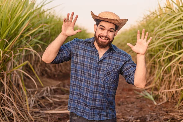 Brazilian Caucasian Man Farmer Rural Worker Agricultural Engineer Startled Frightened — Stock Photo, Image