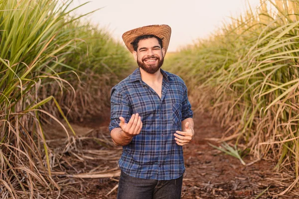Hombre Caucásico Brasileño Agricultor Trabajador Rural Ingeniero Agrícola Ven Aquí — Foto de Stock