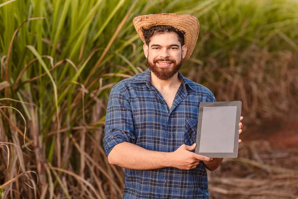 ブラジルの白人男性 農村労働者 農業技術者 タブレット画面 技術と農業を示す — ストック写真