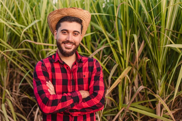 Mladý Farmář Zkříženýma Rukama Ukazuje Důvěru Plantáží Cukrové Třtiny Pozadí — Stock fotografie