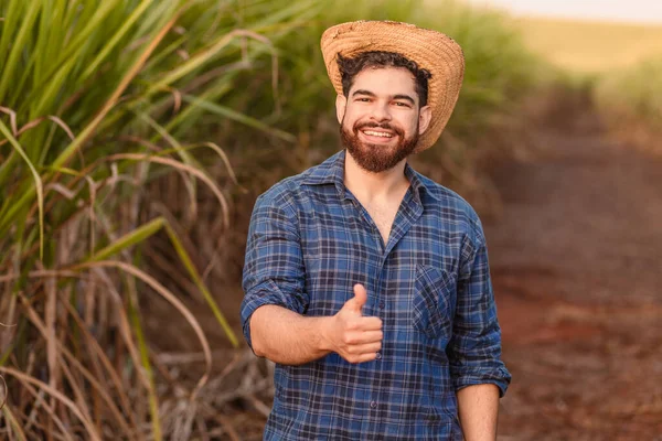 Brasiliansk Vit Man Bonde Lantarbetare Lantbruksingenjör Förhöjd Tumme Bekräftelse Korrekt — Stockfoto