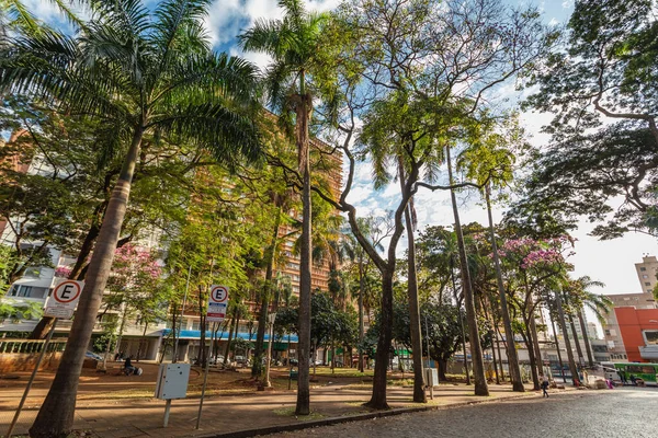 Ribeiro Preto Sao Paulo Brasil Circa Junio 2022 Plaza Principal — Foto de Stock