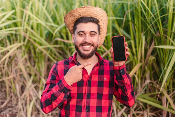 Young Farm Worker Agronomist Showing Cellphone Screen Farming Apps Scanning — Stock Photo, Image