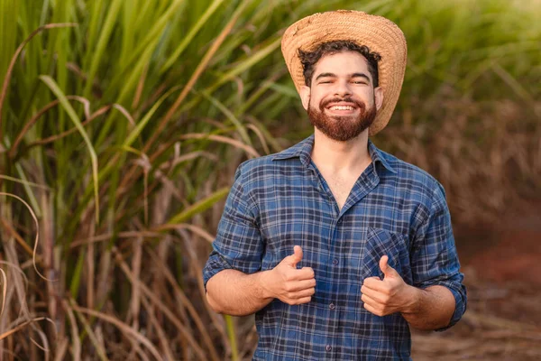 Brasileiro Homem Caucasiano Agricultor Trabalhador Rural Engenheiro Agrícola Polegar Levantado — Fotografia de Stock