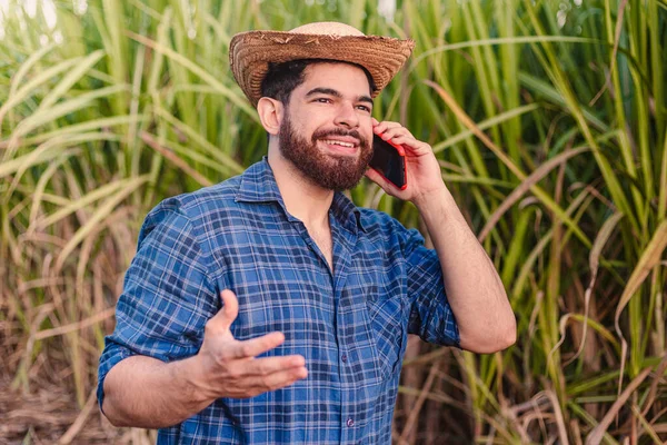 Jonge Landbouwer Agronomist Met Strohoed Praten Mobiele Telefoon Audio Oproep — Stockfoto