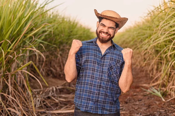 Hombre Caucásico Brasileño Agricultor Trabajador Rural Ingeniero Agrícola Celebrando Manos —  Fotos de Stock