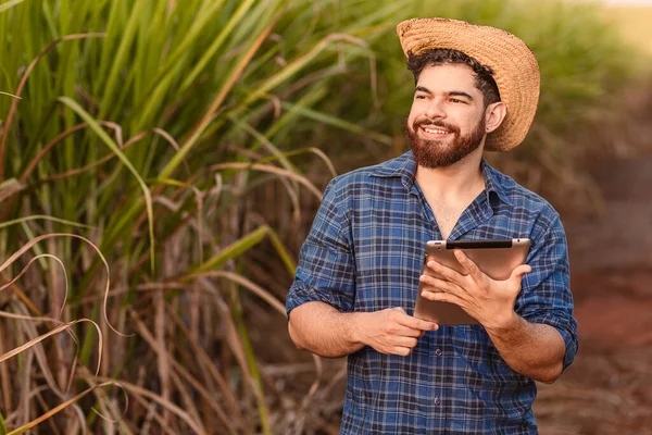Braziliaanse Kaukasische Man Boer Landarbeider Landbouwkundig Ingenieur Tablet Vasthouden Naar — Stockfoto