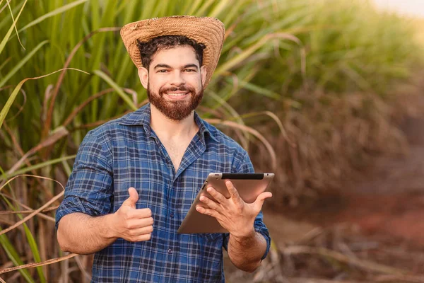 Brasiliansk Kaukasisk Man Bonde Lantarbetare Jordbruksingenjör Hålla Tablett Och Med — Stockfoto