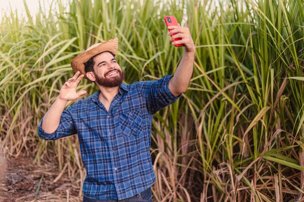 Молодой Сельскохозяйственный Работник Агроном Видеоконференция Видеозвонок Фоне Плантации Сахарного Тростника — стоковое фото
