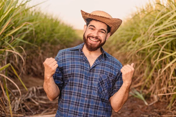 Brazilský Běloch Farmář Venkovský Dělník Zemědělský Inženýr Slavit Řezat Ruce — Stock fotografie