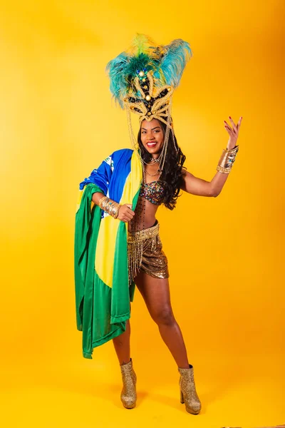 Vertical Photo Full Body Black Brazilian Woman Carnival Clothing Brazil — Stock Photo, Image
