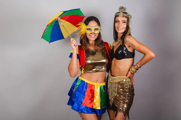 Horizontal Tiro Meio Corpo Dois Amigos Brasileiros Trajes Carnaval Posando — Fotografia de Stock