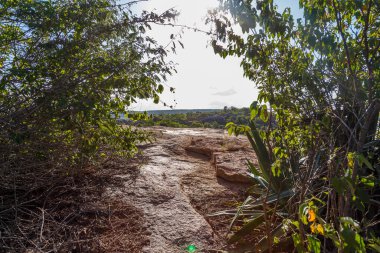 Dağlardaki kayalar ve yeşil ormanlar