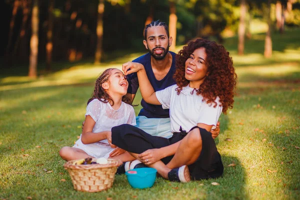 Mutlu Aile Parkta Piknik Yapıyor — Stok fotoğraf