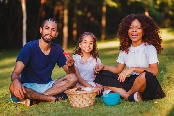 公園でピクニックをしている幸せな家族 — ストック写真