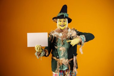 Sarı sırtlı Festa Junina 'nın korkuluk karakteri.