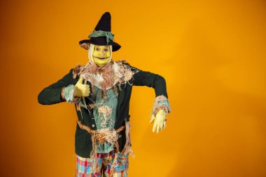 Sarı sırtlı Festa Junina 'nın korkuluk karakteri.
