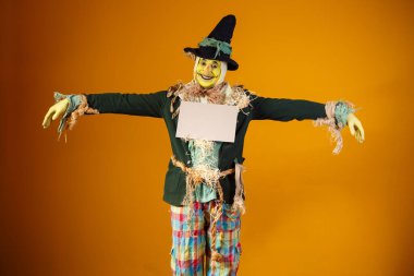 Sarı sırtlı Festa Junina 'nın korkuluk karakteri.