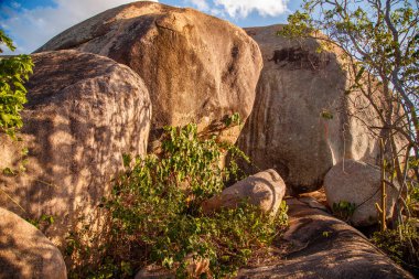 Doğanın güzel manzarası